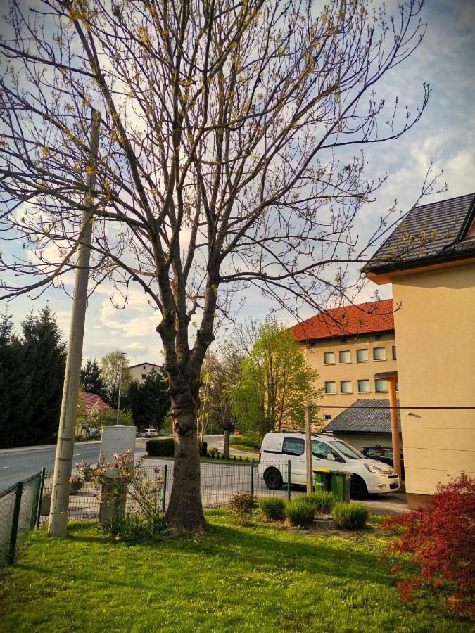 Apartma Vila Tara Prebold Extérieur photo
