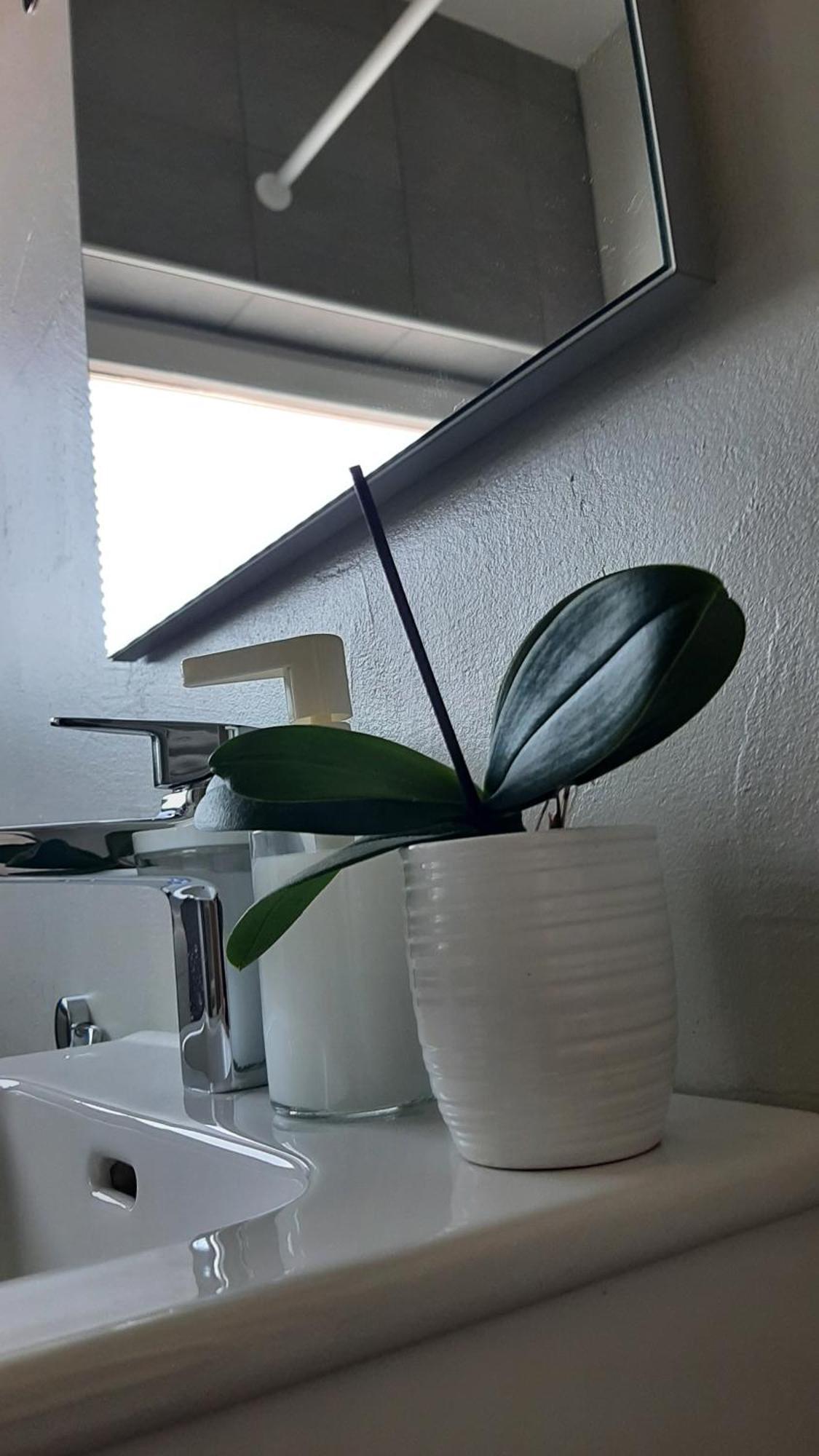 Apartma Vila Tara Prebold Extérieur photo